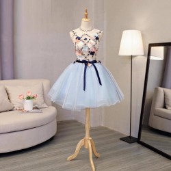 Light Blue Prom Dress Ball Gowns Short Homecoming Dress